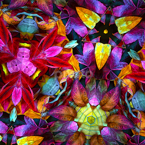 Autumn Kaleidescope by Floyd Hopper - Digital Art Things