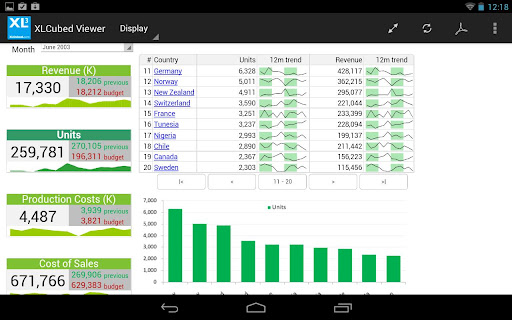 XLCubed Report Viewer