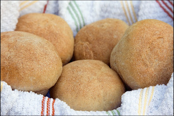 Whole Wheat Honey Rolls