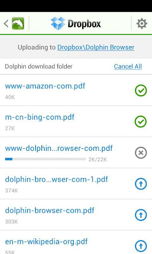 Dropbox for Dolphin
