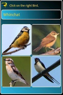 How to install 4 Songbird Quiz Games 5.0.0 unlimited apk for android