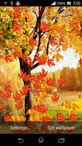 3D Autumn HD Live Wallpaper