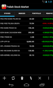 Polish Stock Market - náhled