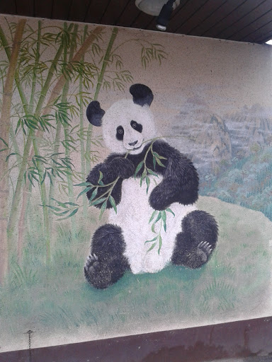Poo Lee  Panda Mural.