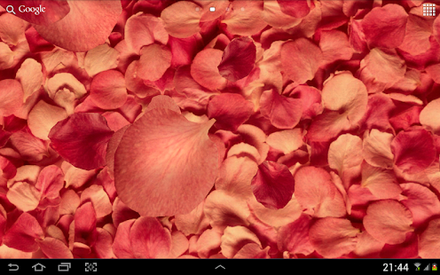 Petals 3D live wallpaper for PC-Windows 7,8,10 and Mac apk screenshot 11