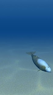 Ocean 3D Screenshots 10