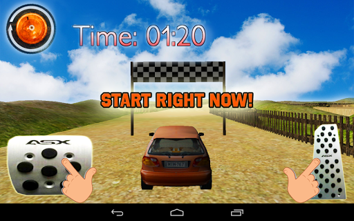 Rally World 3D