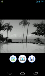 gray photo effect poster 3