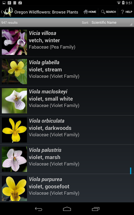 Oregon Wildflowers Android Apps on Google Play