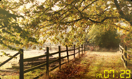 Digital Photo Frame by EasyDevTools poster 7