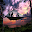 Camping Ideas Download on Windows