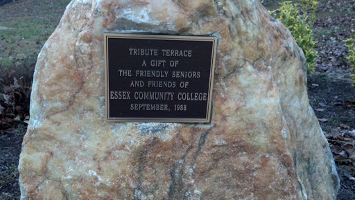 Tribute Terrace