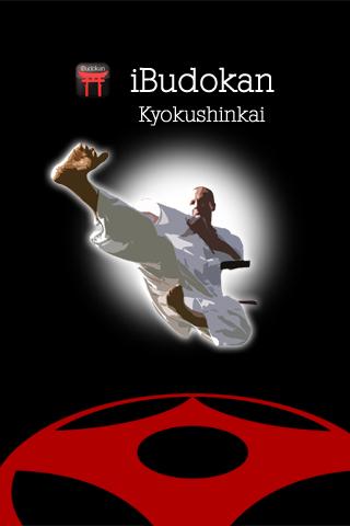 Kyokushin - Blocks