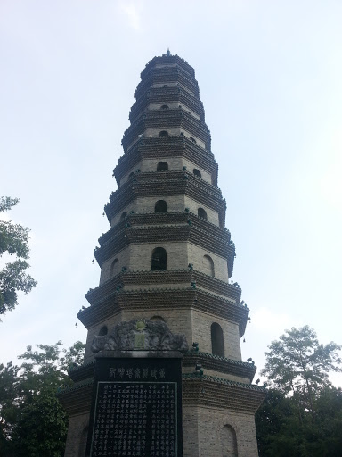 Dragon Elephant Tower