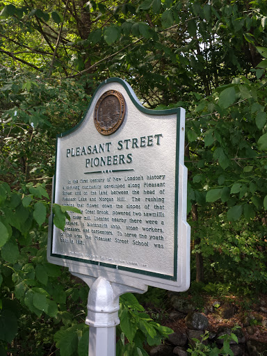 Pleasant Street Pioneers