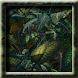 Plants Animated LWP