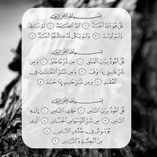 Download Koran Screenshots 6 Download Koran Screenshots 6