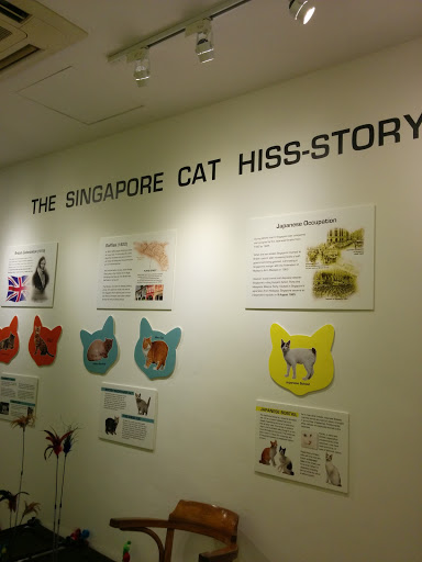 Singapore Cat Hiss-story