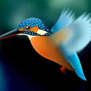 Kingfisher Live Wallpaper 個人化 LOGO-阿達玩APP