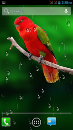 Birds HD Live Wallpaper by AppTrends poster 6