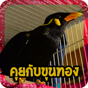คุยกับขุนทอง.apk 1.0