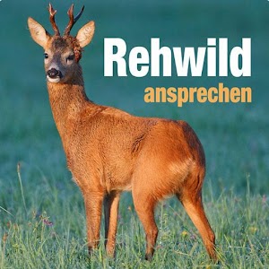 Rehwild ansprechen logo