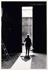 Groot rundveebedrijf