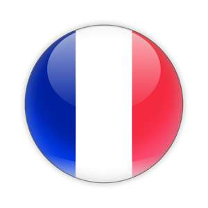French Dictionary 1.1