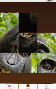 Monkey Puzzle Screenshots 0