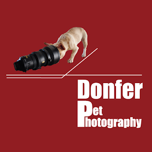 Donfer Pet Photography.apk 1.0.0