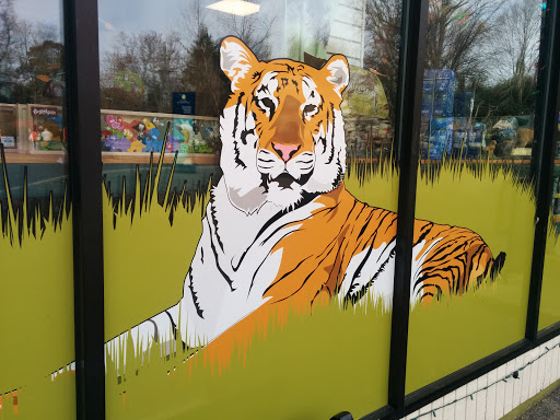 Tiger Window