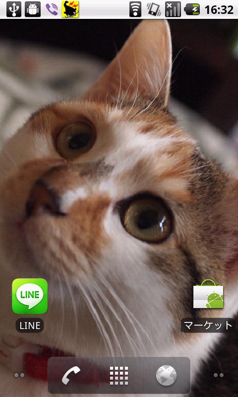 Cats Charity Live Wallpaper Screen 2