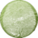 Finger Scan Pro logo