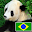 Animals in portuguese Download on Windows