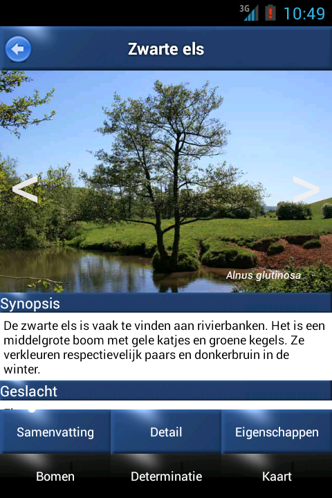 Boom Id - Bomen van Europa Screen 3