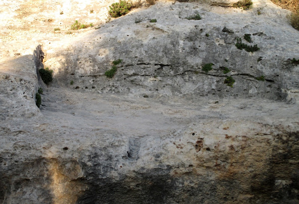 Stone Wine Press