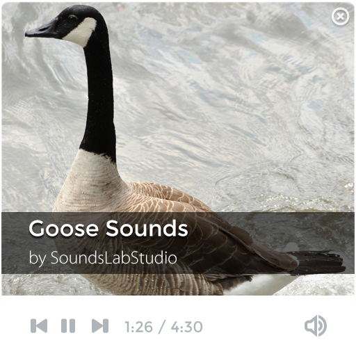 免費下載音樂APP|Goose Sounds app開箱文|APP開箱王