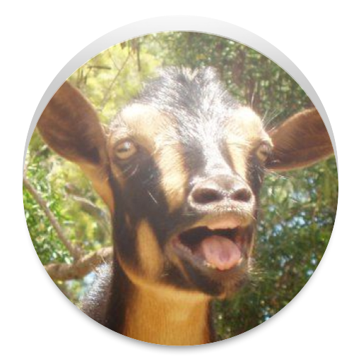 Random Goat sound LOGO-APP點子