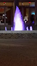 Purple Fountain 