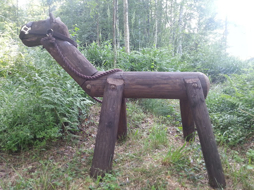 Saimaa Horse