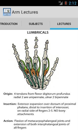 Anatomy Arm Lectures