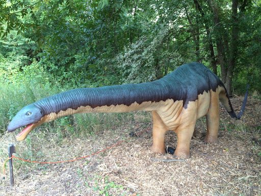Apatosaurus 