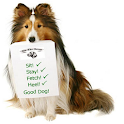 How To Train A Dog logo
