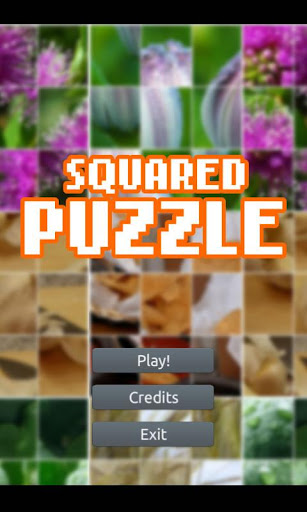 Squared Puzzle