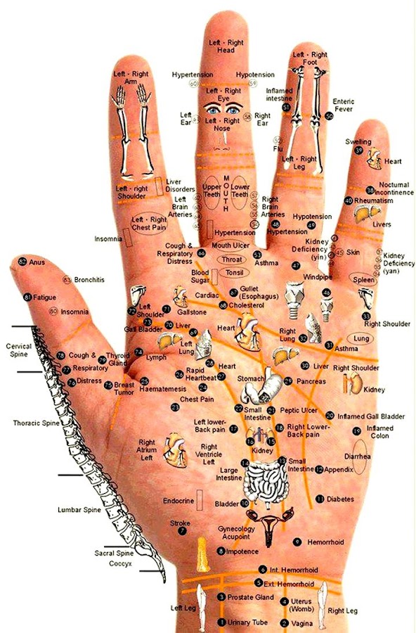 Acupressure Point Chart