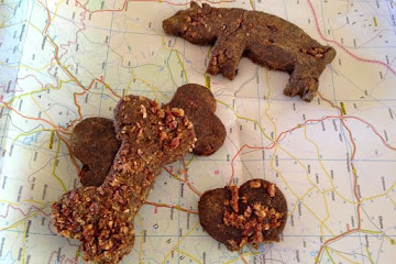 Travel Tail Treats