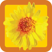 Happy Habits: Choose Happiness