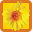 Happy Habits: Choose Happiness Download on Windows