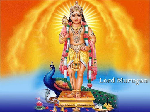 Lord Murugan Wallpaper