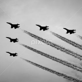 Fly Pass by Bhie Mha - Black & White Objects & Still Life